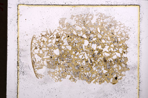 Plane Polarized, E23158