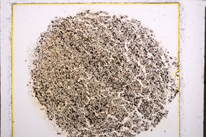 Plane Polarized, E23165