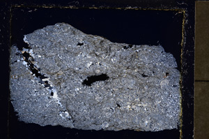 Cross Polarized, E23169