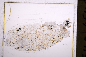 Plane Polarized, E23211