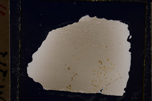 Cross Polarized, E23225