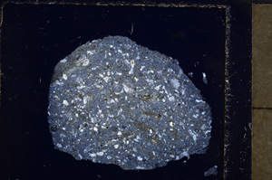 Cross Polarized, E23257