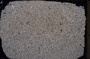 Cross Polarized, E23267