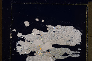 Cross Polarized, E23276