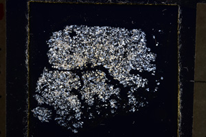 Cross Polarized, E23279