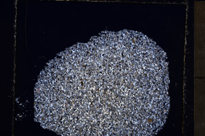 Cross Polarized, E23280