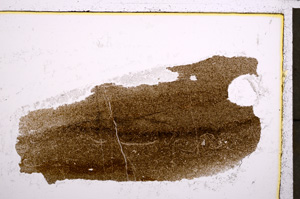 Plane Polarized, E23283