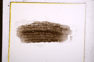 Plane Polarized, E23292