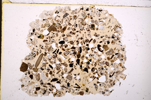 Plane Polarized, E23315