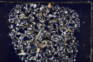 Cross Polarized, E23316