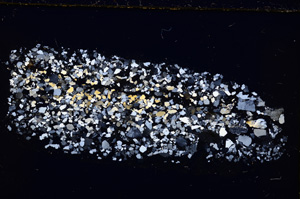 Cross Polarized, E23333