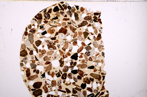 Plane Polarized, E23339