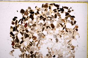 Plane Polarized, E23341