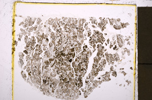 Plane Polarized, E23360