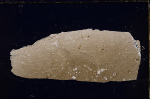 Cross Polarized, E23361