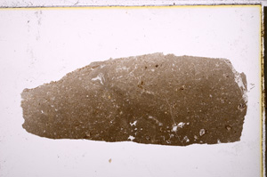 Plane Polarized, E23361