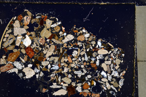 Cross Polarized, E23363