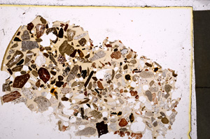 Plane Polarized, E23363