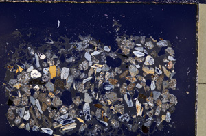 Cross Polarized, E23368