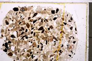 Plane Polarized, E23370