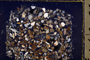 Cross Polarized, E23371