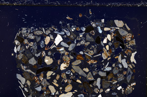 Cross Polarized, E23376