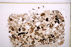 Plane Polarized, E23376