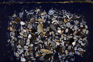 Cross Polarized, E23377