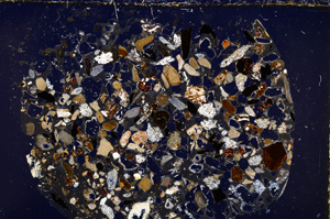 Cross Polarized, E23389