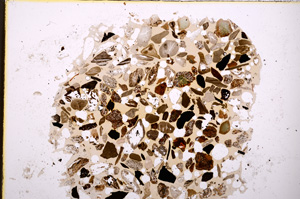 Plane Polarized, E23390