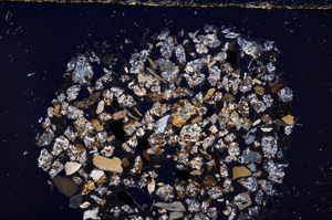 Cross Polarized, E23391