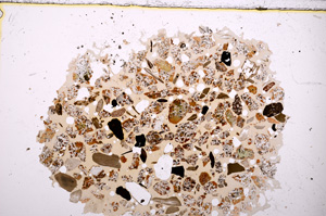 Plane Polarized, E23391