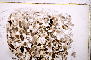 Plane Polarized, E23396
