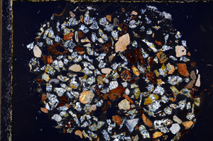 Cross Polarized, E23402