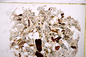 Plane Polarized, E23403