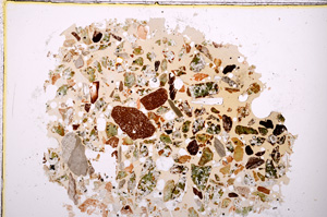 Plane Polarized, E23404