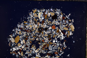 Cross Polarized, E23416