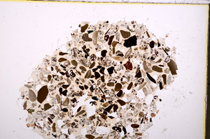 Plane Polarized, E23416