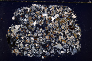 Cross Polarized, E23417