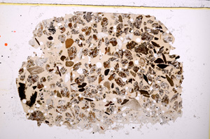 Plane Polarized, E23417