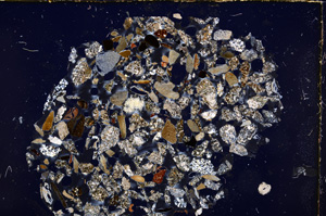 Cross Polarized, E23420