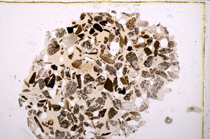 Plane Polarized, E23420