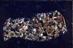 Cross Polarized, E23421