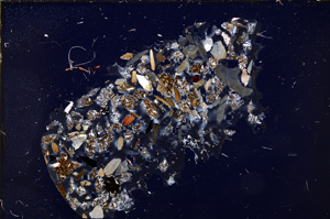 Cross Polarized, E23422