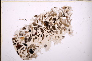 Plane Polarized, E23422