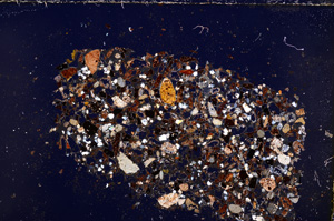 Cross Polarized, E23427