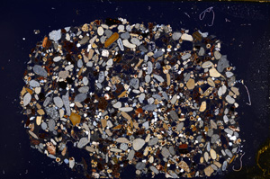 Cross Polarized, E23428