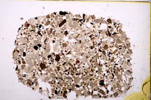 Plane Polarized, E23428