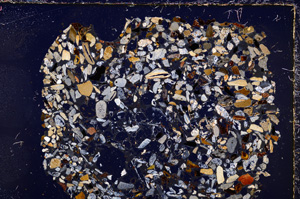 Cross Polarized, E23430