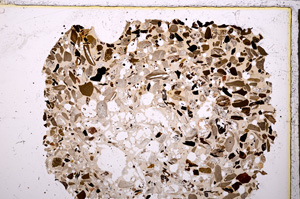 Plane Polarized, E23430